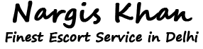 Nargis Escorts Logo